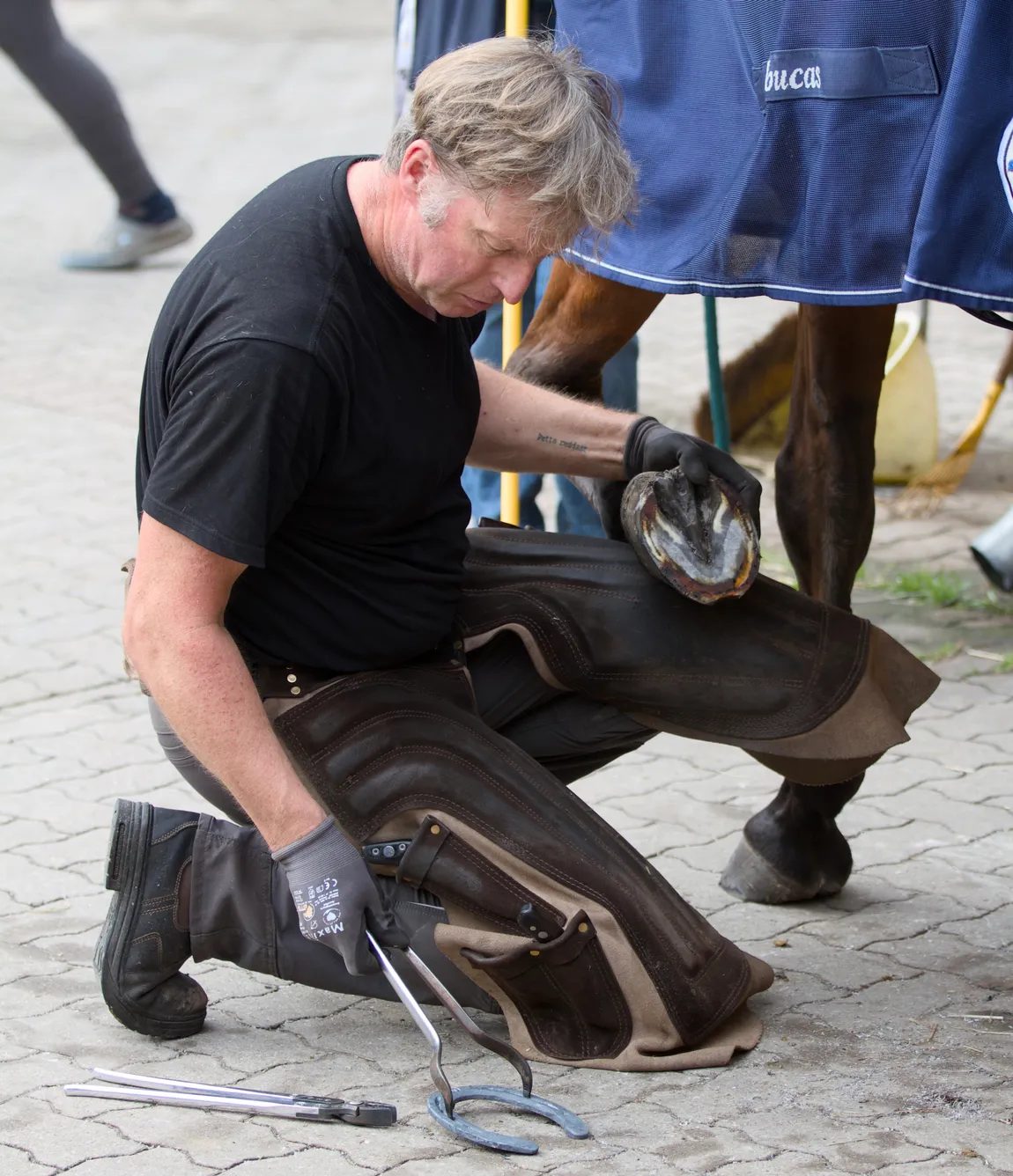 Björn Kohrs bei der mobilen Hufpflege im Stall